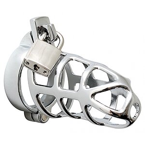 Cusca Penis Male Chastity Device Argintiu pe Vibreaza.ro