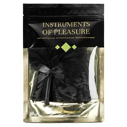 Set Instruments Of Pleasure Negru