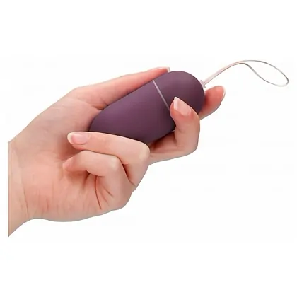 Vibrator 10 Speed Remote Vibrating Egg Big Mov