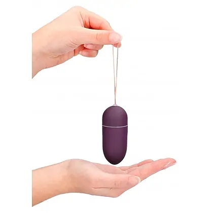 Vibrator 10 Speed Remote Vibrating Egg Big Mov