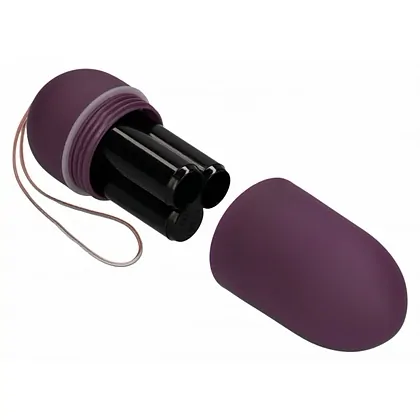 Vibrator 10 Speed Remote Vibrating Egg Big Mov