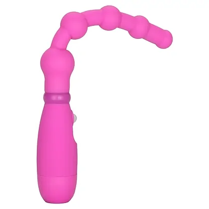 Vibrator Anal Flexer Roz