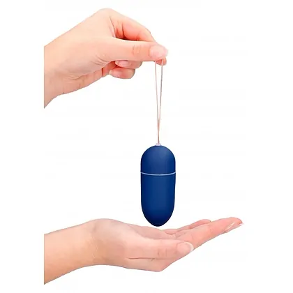 Vibrator Egg 10 Speed Remote Big Albastru