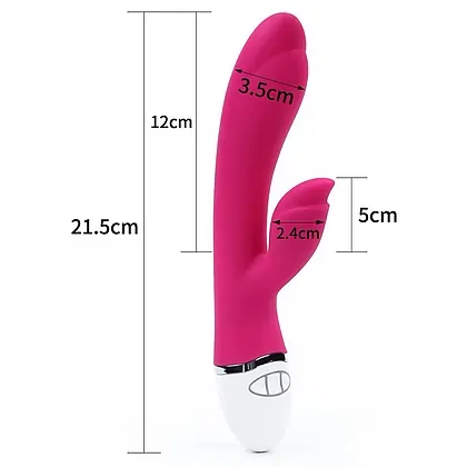 Vibrator Lovetoy Dreamer II Roz