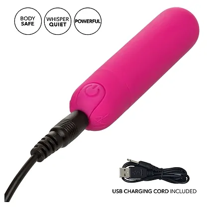 Vibrator Mic Rechargeable Hideaway Roz